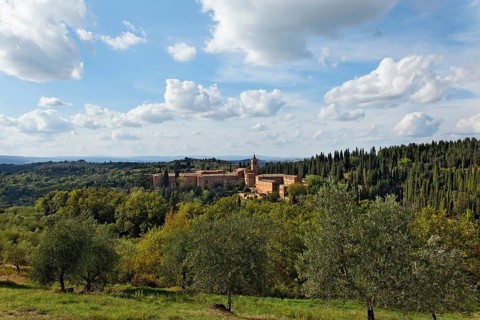 Crete Senesi