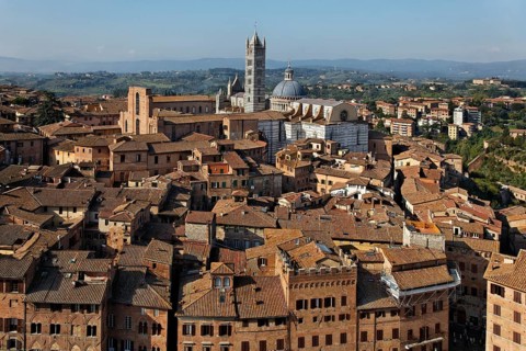 View from Torre del Mangia