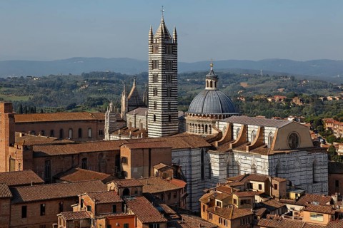 View from Torre del Mangia
