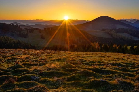 Sunrays over an alpine pasture at sunset