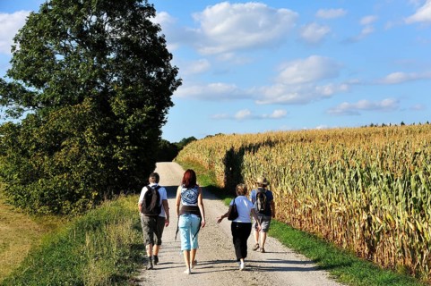 Hikers in the Franconian countryside