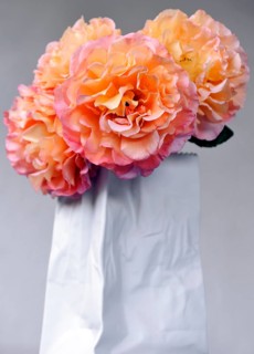 Roses in a modern white porcelain vase