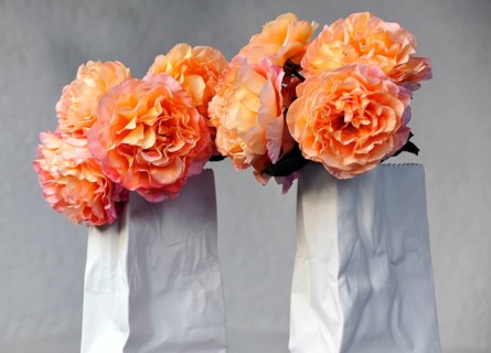 Roses in a modern white porcelain vase