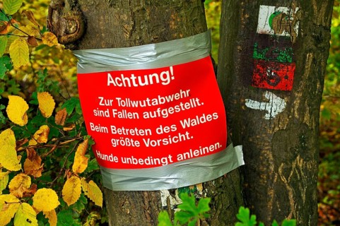 Warning sign on a tree