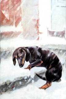 The Prodigal Son