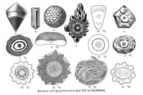 Forms of hailstones