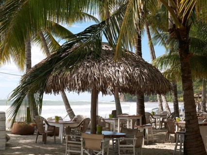 Beach bar with palm trees