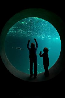 Children in front of the large round window of an aquarium