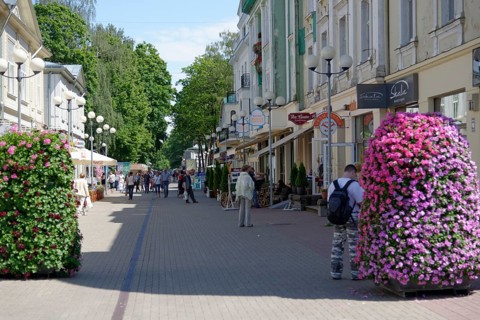 Pedestrian zone