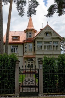 Wooden villa with a copper roof