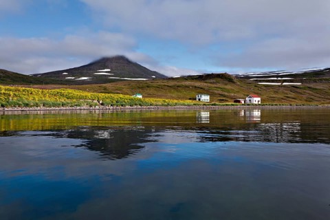Hornstrandir