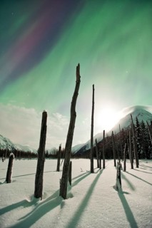 Moonlight and aurora in Portage Valley