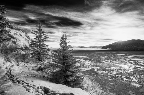 Winter landscape along Turnagain Arm