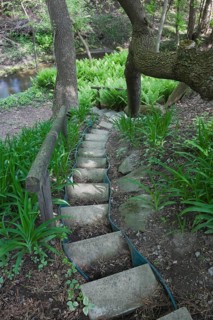 A set of steps designed with concrete paving slabs leads down to a patch of ferns in a landscaped backyard garden in spring