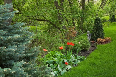 Garden border with red tulips in a landscaped residential backyard garden in spring