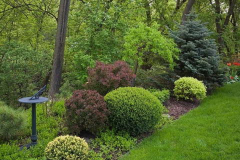 Sundial and colorful shrubs in a garden border in a landscaped residential backyard garden