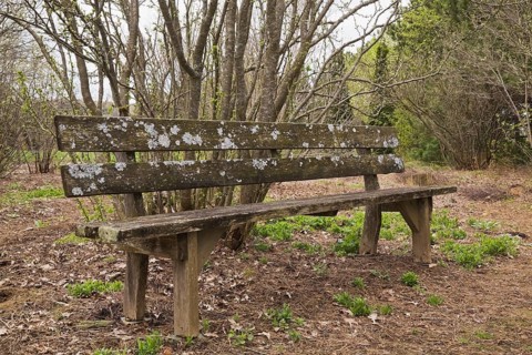 An old wooden bench in the 'Jardin du Grand Portage' garden in spring