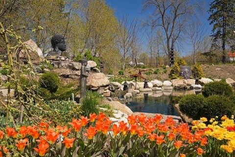 The ornamental pond in the Zen garden at springtime in the "Route des Gerbes d'Angelica" garden in Mirabel