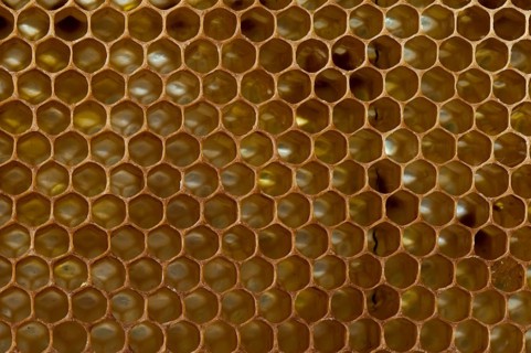 Honey comb