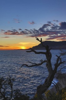 Principality of Monaco viewed from Cap Martin at sunset