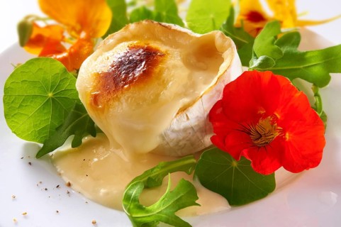 Fresh nasturtium flowers and leaves with goats cheese