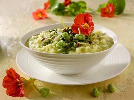 Nasturtium pesto risotto
