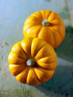 Mini orange pumpkins