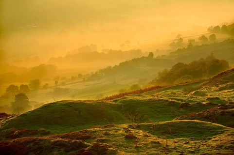 Rosedale in morning light