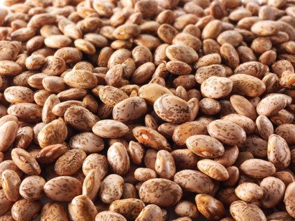 Red Mullet beans or Barbunya beans