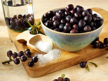 Fresh sloe berries