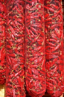 Chili peppers (Capsicum annuum) drying to make Hungarian paprika