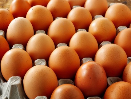 Fresh brown free range eggs