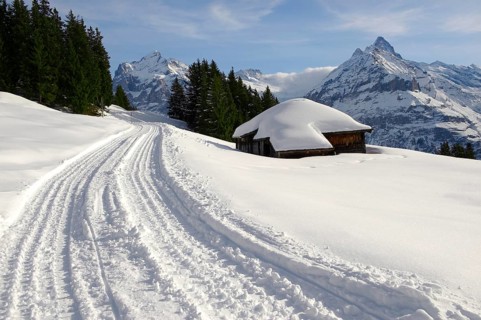 Toboggan run in the snow in the mountains near Grindelwald First