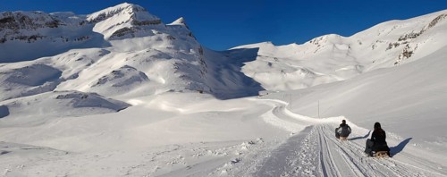 Toboggans in snow in the mountains near Grindelwald First