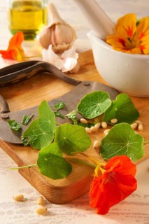 Ingredients for nasturtium-pesto