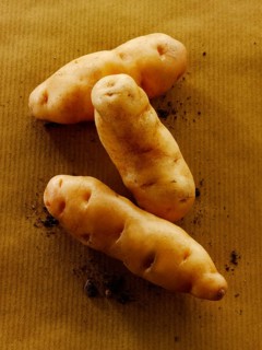 Fresh organic Anya potatoes