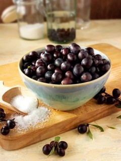 Fresh sloe berries