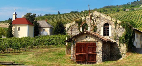 Wine cellar in the Badascony vineyards