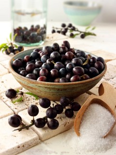Fresh sloe berries