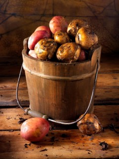 Maris Piper potatoes