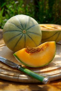 Charentais melon