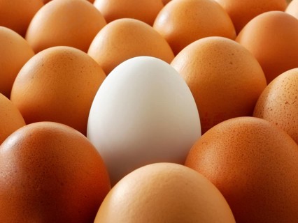 Fresh eggs