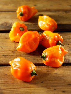 Fresh Scotch Bonnet chilies