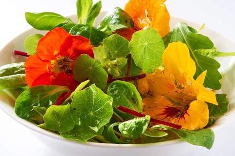 Fresh nasturtium flowers and leaves in a salad