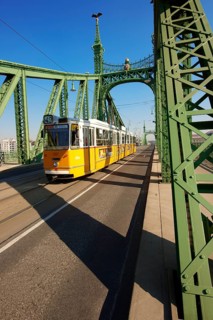 Liberty or Freedom Bridge