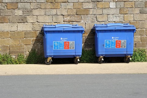 Dumpsters at Whitby Abbey