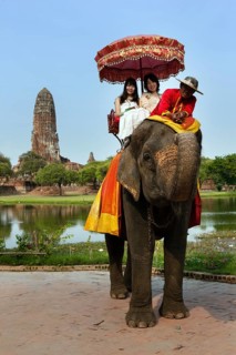 Tourists riding on an elephant