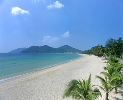 Palms on Dadonghai Beach