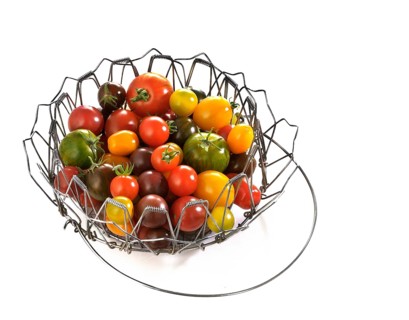 Various wild tomatoes in a wire basket