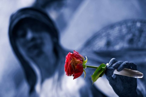 Madonna and rose (Rosa)